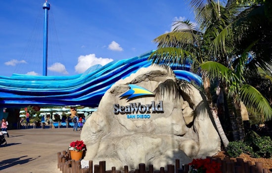 Arizona Teachers Dive Into Free SeaWorld San Diego Access in 2025