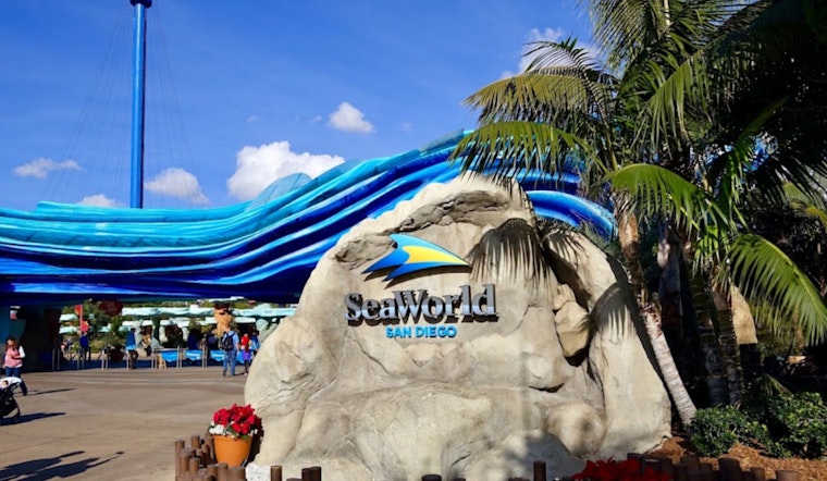 Arizona Teachers Dive Into Free SeaWorld San Diego Access in 2025