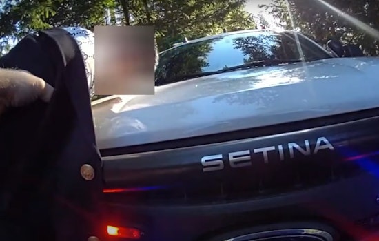Ashford Senior Swindled by Scammers Posing as FDIC Agents, Pierce County Sting Operation Nabs Fraud Courier