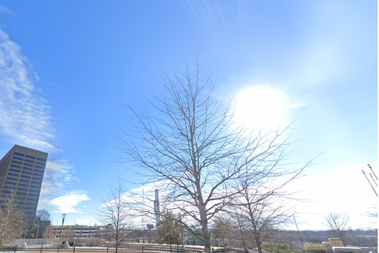 Atlanta Greets Morning Frost Before Sunny Skies, Showers in the Upcoming Week's Mixed Forecast