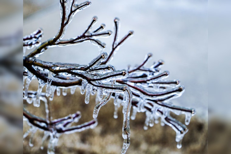 Austin Activates Emergency Operations Amid Winter Weather Warning, Shelters Open, Services Adjusted for Safety