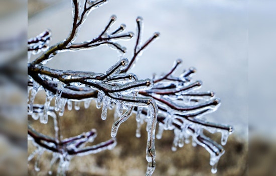 Austin Activates Emergency Operations Amid Winter Weather Warning, Shelters Open, Services Adjusted for Safety