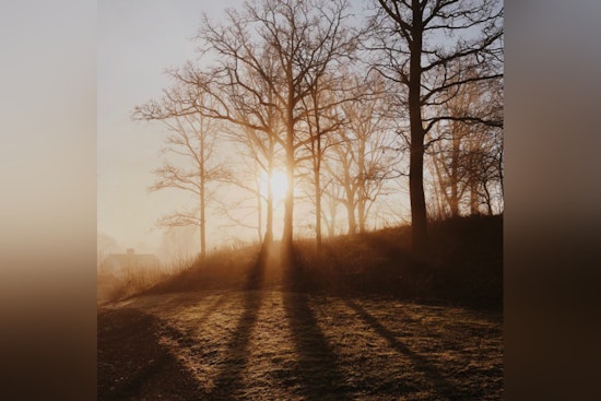 Austin Enveloped in Fog with Drizzle Ahead; Weekend Weather Forecast Reveals Mix of Clouds and Sun