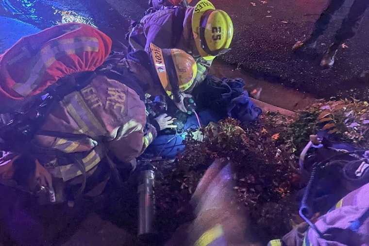 Austin Firefighters Heroically Rescue Litter of Puppies from Northwest Residence Blaze