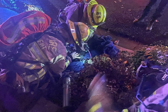 Austin Firefighters Heroically Rescue Litter of Puppies from Northwest Residence Blaze