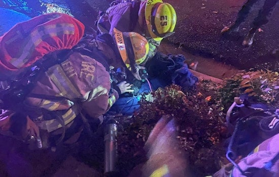 Austin Firefighters Heroically Rescue Litter of Puppies from Northwest Residence Blaze