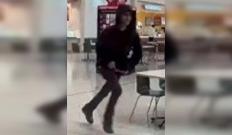 Austin Police Seek Public Aid in Identifying Suspect After Lakeline Mall Shooting Incident
