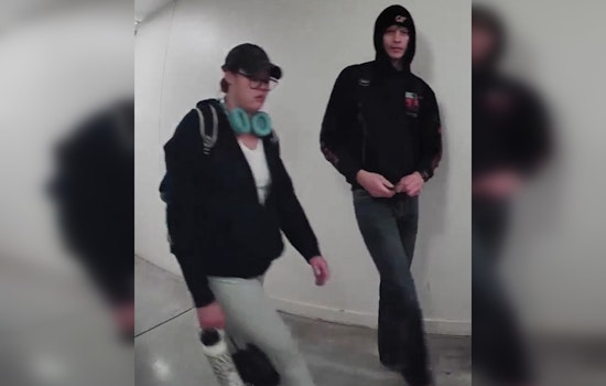 Austin Police Seek Public's Help to Identify Suspect in Mail Theft Incident on West Avenue