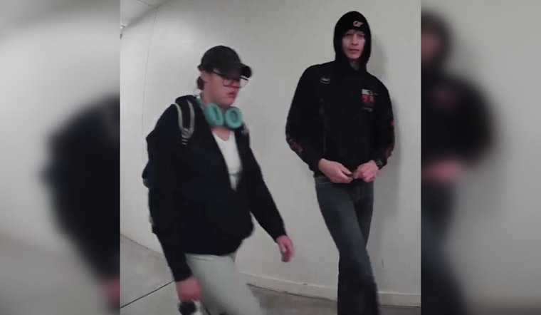 Austin Police Seek Public's Help to Identify Suspect in Mail Theft Incident on West Avenue