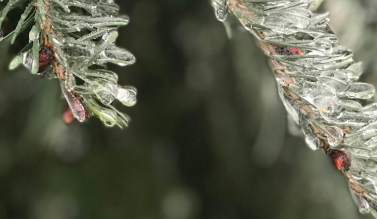 Austin's Cold Weather Shelter Program Back to Overnight Services Amid Warming Trend