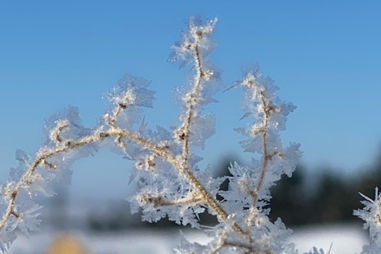 Austin's Local Emergency Operations Scale Back as Temps Rise Above Freezing