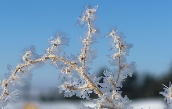Austin's Local Emergency Operations Scale Back as Temps Rise Above Freezing
