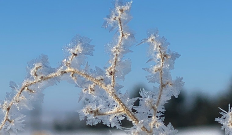 Austin's Local Emergency Operations Scale Back as Temps Rise Above Freezing