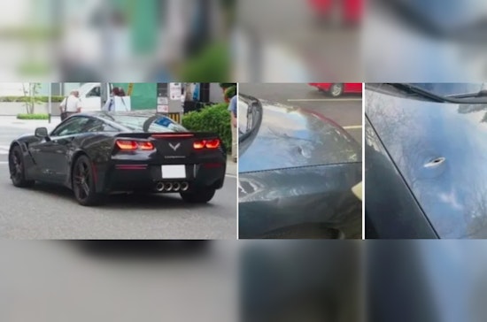 Authorities Seek Witnesses to Road Rage Shooting on I-405 in Bellevue