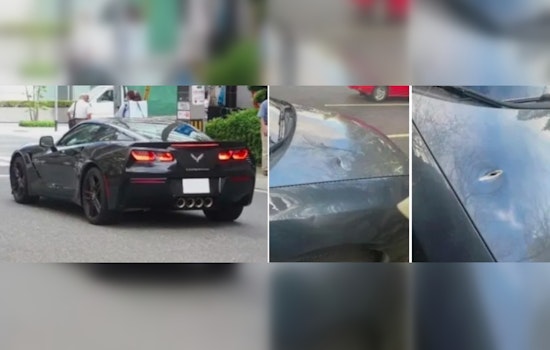 Authorities Seek Witnesses to Road Rage Shooting on I-405 in Bellevue
