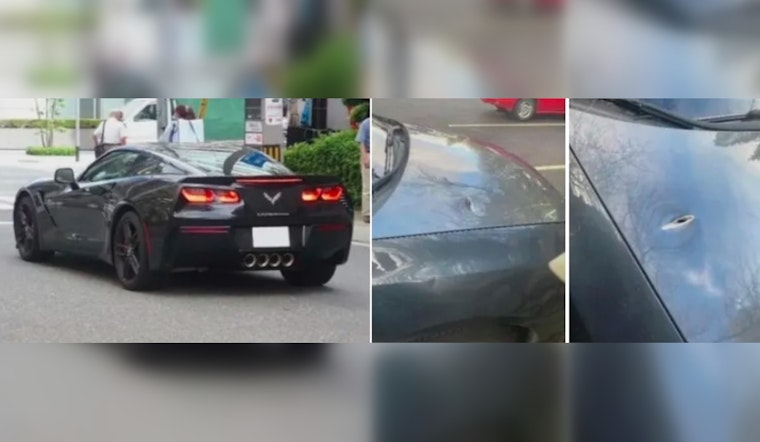 Authorities Seek Witnesses to Road Rage Shooting on I-405 in Bellevue