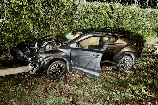 Automated Alert Leads San Rafael Police to DUI Crash Near Dominican University