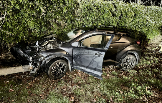 Automated Alert Leads San Rafael Police to DUI Crash Near Dominican University