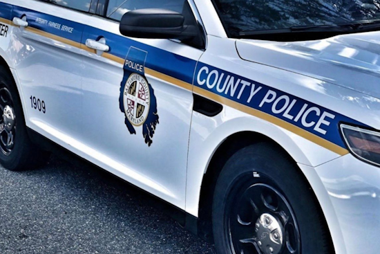 Baltimore County Police Issue Silver Alert for Missing Essex Woman, Sharon Lynch, Seek Public Aid in Search