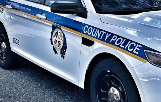 Baltimore County Police Issue Silver Alert for Missing Essex Woman, Sharon Lynch, Seek Public Aid in Search