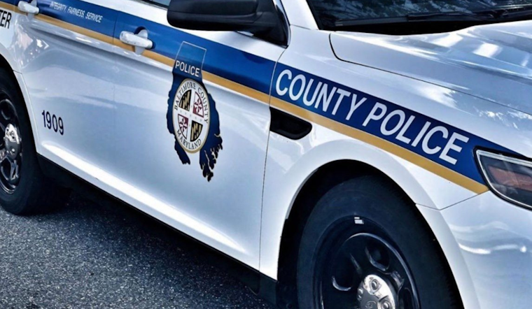 Baltimore County Police Issue Silver Alert for Missing Essex Woman, Sharon Lynch, Seek Public Aid in Search