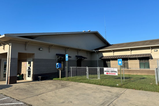 Barrow County Animal Shelter to Close Temporarily for Improvements, Offering Appointment-Only Services