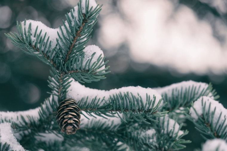 Baton Rouge Officials Urge Preparedness for Impending Freeze and Winter Weather Hazards