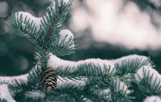 Baton Rouge Officials Urge Preparedness for Impending Freeze and Winter Weather Hazards