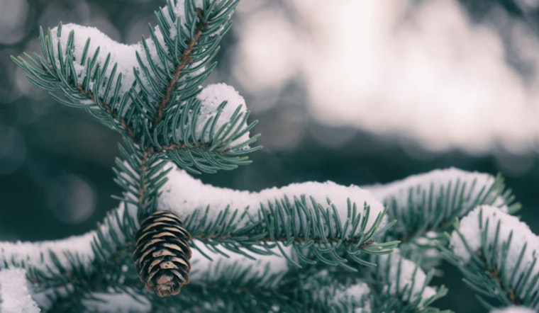 Baton Rouge Officials Urge Preparedness for Impending Freeze and Winter Weather Hazards