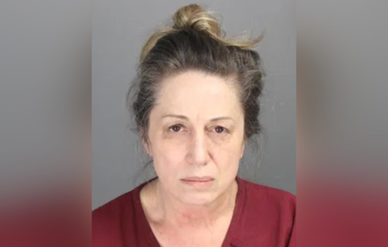 Birmingham Bridal Ex-Owner Nadica Ristivojevic Sentenced for Defrauding Brides in Michigan