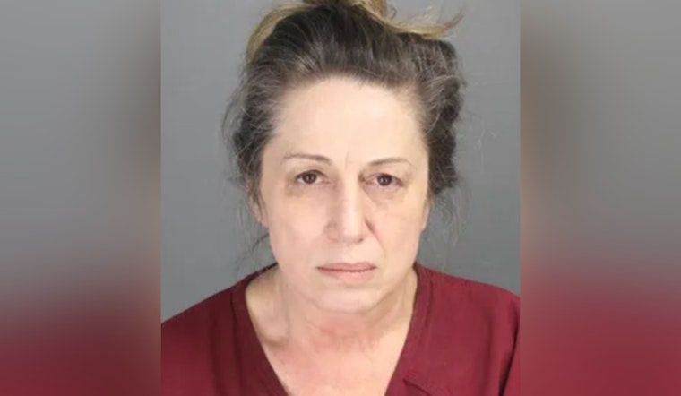 Birmingham Bridal Ex-Owner Nadica Ristivojevic Sentenced for Defrauding Brides in Michigan
