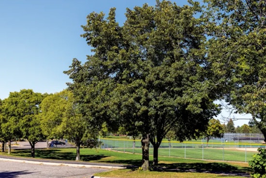 Bloomington Bolsters Urban Forest with 18th Annual Arbor Day Tree Sale