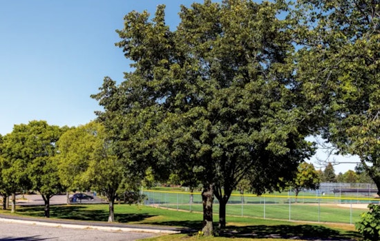 Bloomington Bolsters Urban Forest with 18th Annual Arbor Day Tree Sale