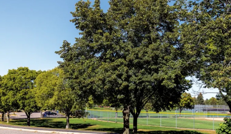 Bloomington Bolsters Urban Forest with 18th Annual Arbor Day Tree Sale