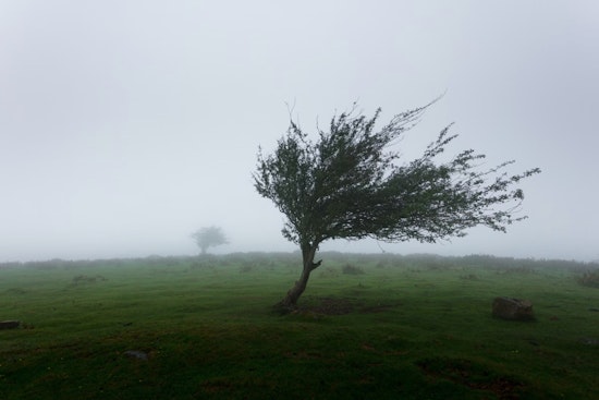 Blustery Weekend Ahead in Las Vegas with Gusty Winds and Cooler Temperatures, NWS Advises