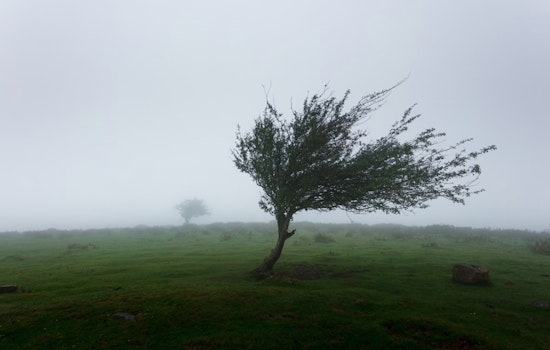 Blustery Weekend Ahead in Las Vegas with Gusty Winds and Cooler Temperatures, NWS Advises