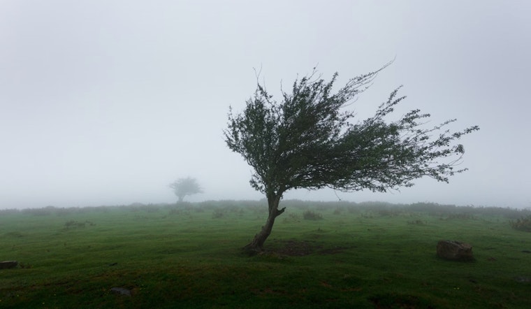 Blustery Weekend Ahead in Las Vegas with Gusty Winds and Cooler Temperatures, NWS Advises