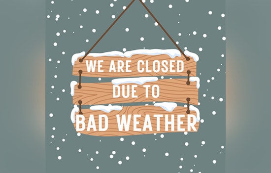Boerne Library Halts Tax Services Due to Icy Weather, Opens Doors as Warming Shelter for Residents and Pets