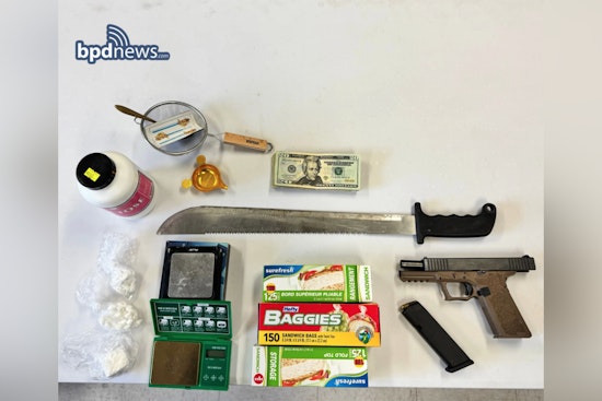 Boston Police Arrest Two in Dorchester Drug Raid, Officer Bitten by Pit Bull