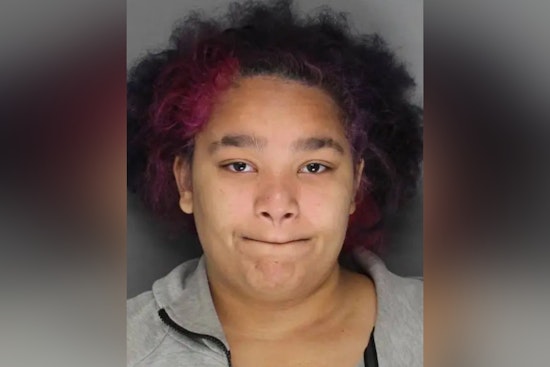 Boston Police Seek Public's Help in Search for Missing 15-Year-Old Jasmine Lopez-Rosas from Roxbury