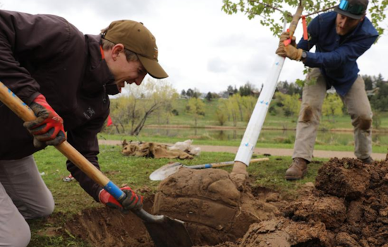 Boulder's Urban Canopy Remains at 22%: Challenges Highlighted in 2025 State of the Urban Forest Report