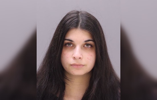 Bristol Township Woman Admits to Fabricating Kidnap and Assault Allegations, Sentencing Deferred Pending Investigation