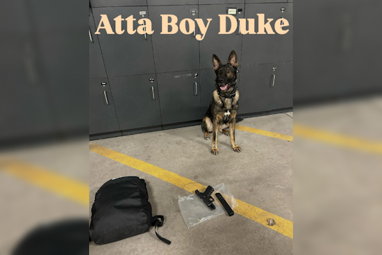 Brooklyn Park Police and K9 Unit Recover Loaded Gun and THC Cartridges Near School After Car Accident