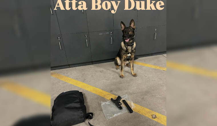 Brooklyn Park Police and K9 Unit Recover Loaded Gun and THC Cartridges Near School After Car Accident