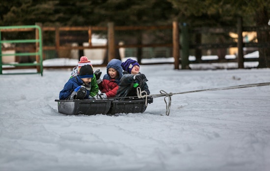 Brookside Park in Bloomington Announces "Sledstravaganza" Events for Winter Fun, Bobsleds Not Permitted