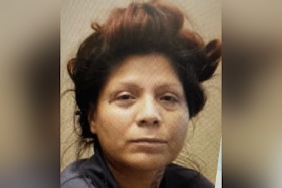 Broward Sheriff's Office Seeks Public Aid to Find Missing Woman from Deerfield Beach