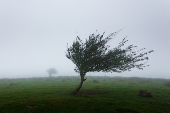Bundle Up, Washington DC as NWS Forecasts Chilly Winds and Possible Wintery Mix