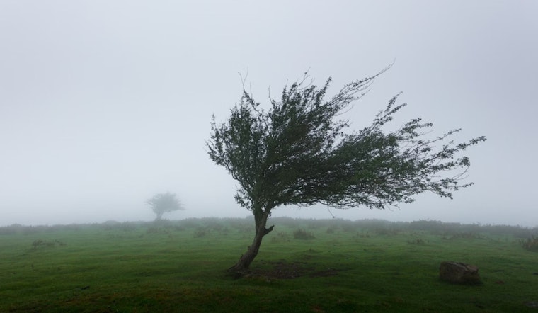 Bundle Up, Washington DC as NWS Forecasts Chilly Winds and Possible Wintery Mix