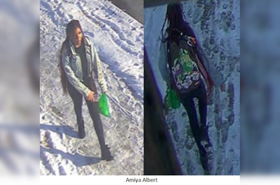 Camden County Authorities Seek Help to Locate Missing 14-Year-Old Amiya Albert