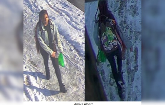 Camden County Authorities Seek Help to Locate Missing 14-Year-Old Amiya Albert